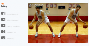 なんなんすかコレ