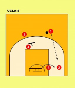 UCLA-4