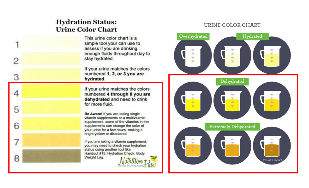 図2脱水時の尿の色